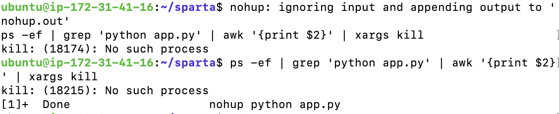 스파르타 즉문즉답